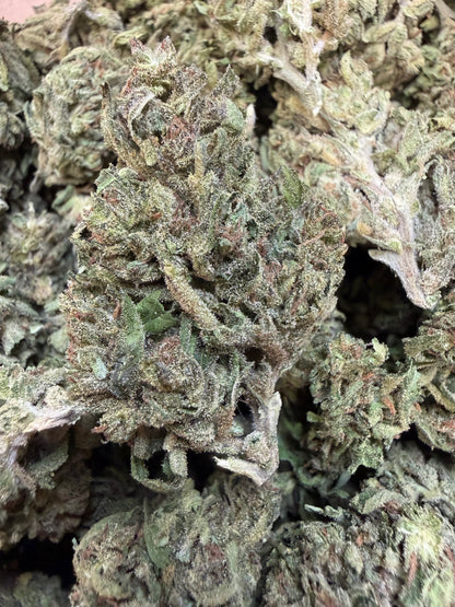 1 Pound - Blueberry X Blue Dream THCA Flower