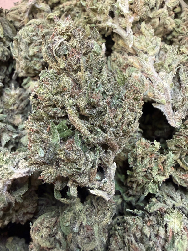 1 Pound - Blueberry X Blue Dream THCA Flower