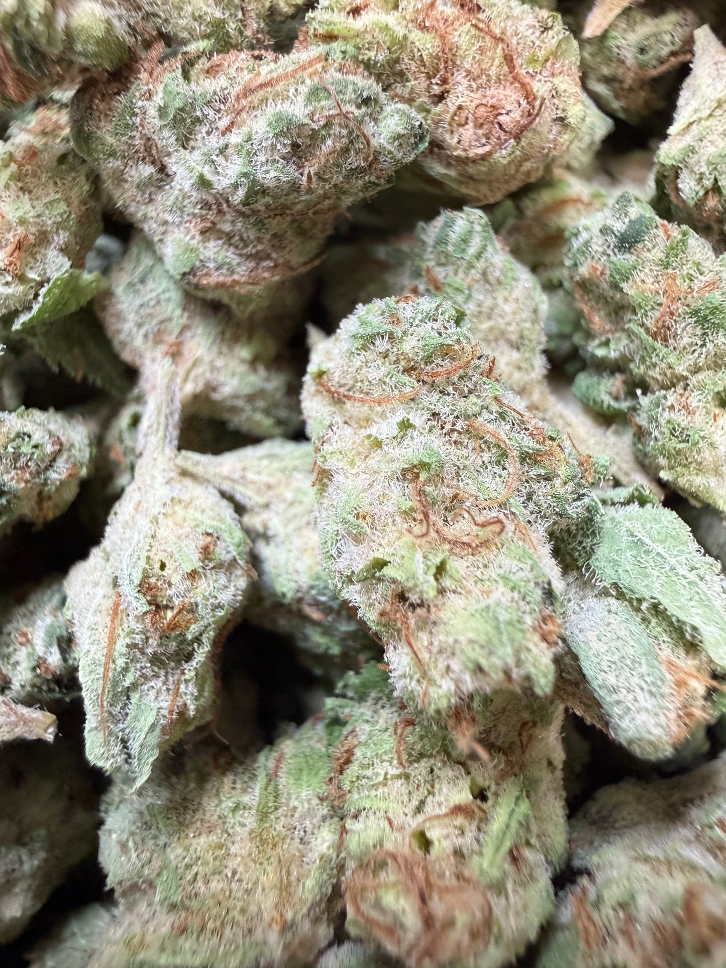 1 Pound - Limonade Punch THCA Flower (Smalls)