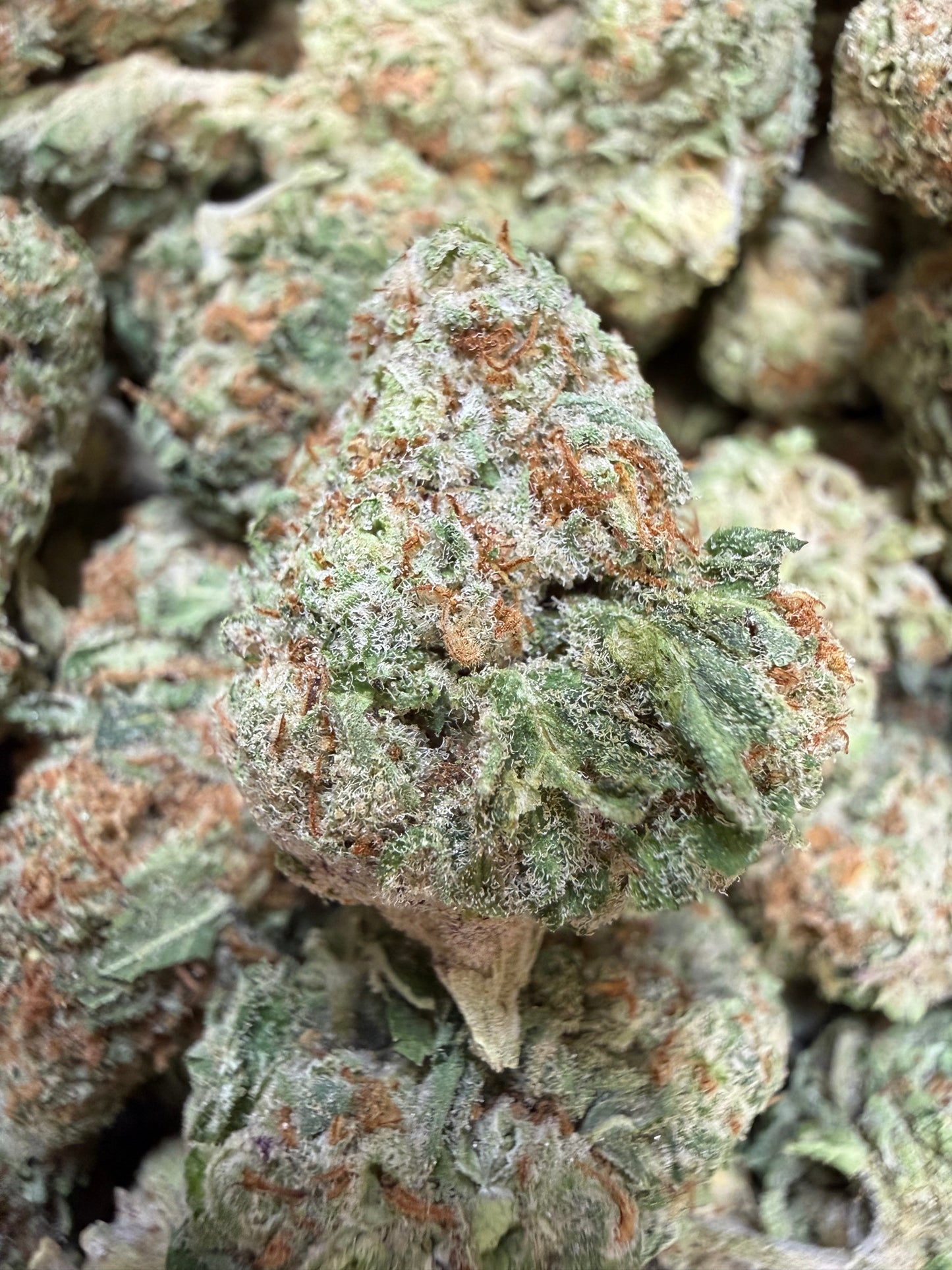 1 Pound - Phat Panda THCA Flower
