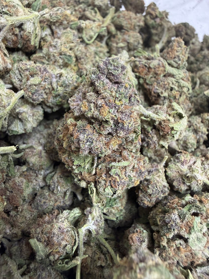 1 Pound - CANDY SHERB THCA Flower