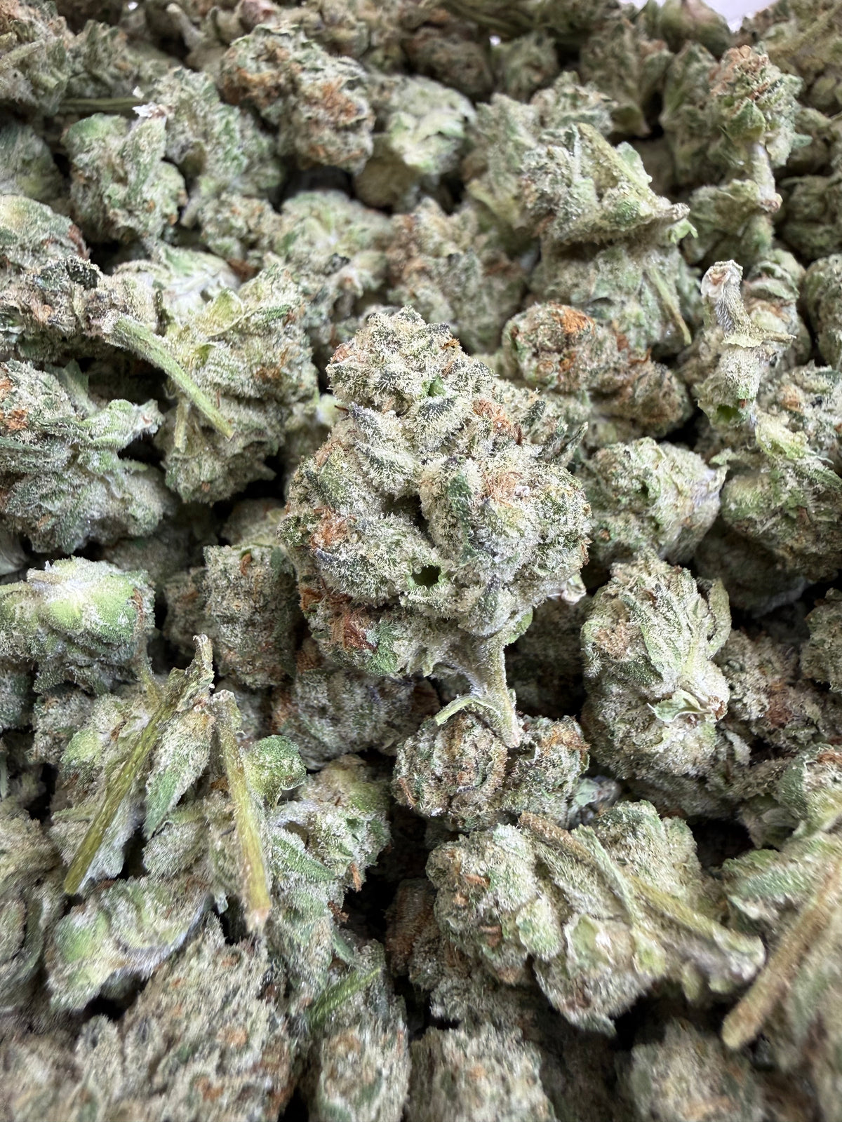 1 Pound - DANTE'S INFERNO THCA Flower (SMALL)