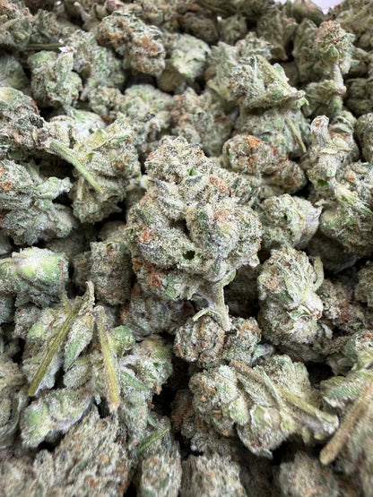 1 Pound - DANTE'S INFERNO THCA Flower (SMALL)