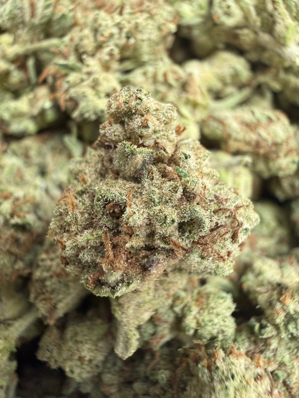 1 Pound - JELLY RANCHER THCA Flower (SMALL)