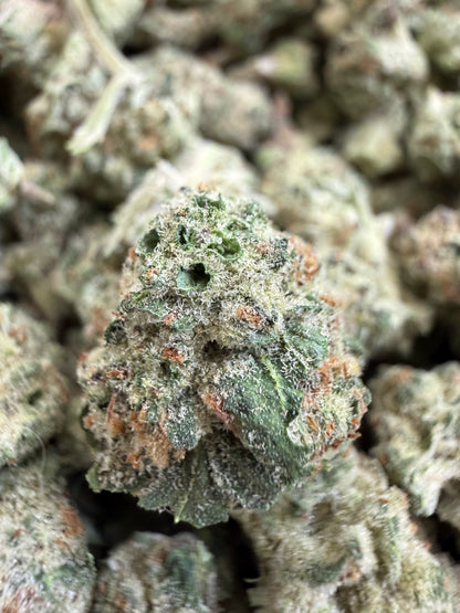 1 Pound - TERPEE SLURPEE THCA Flower (SMALL)