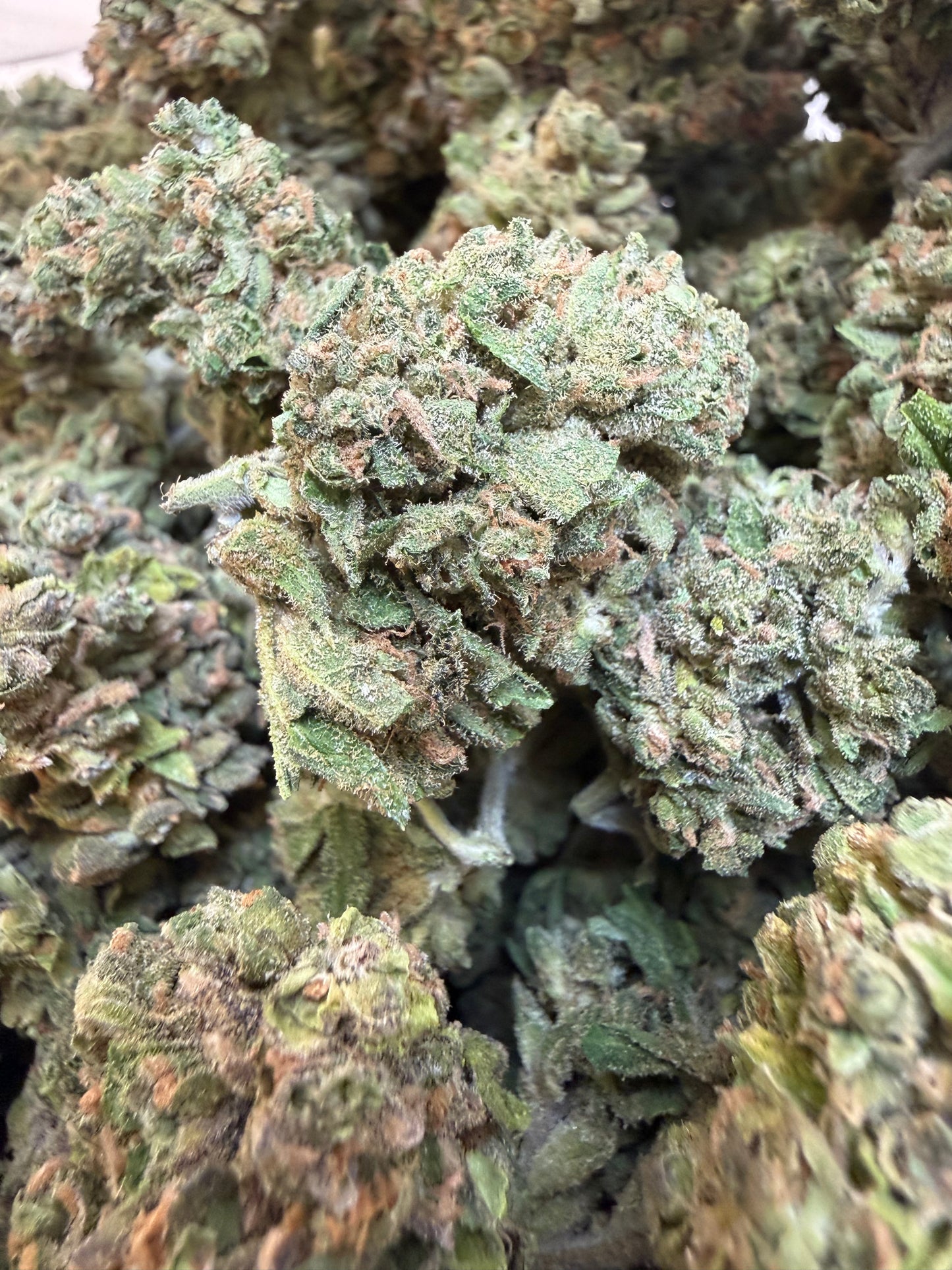 1 Pound - Sweet Baby Jesus THCA Flower