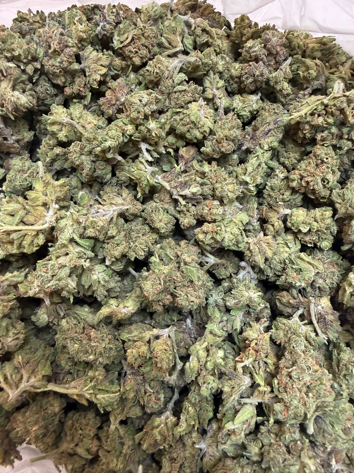 1 Pound - Zangria THCA Flower (Smalls)