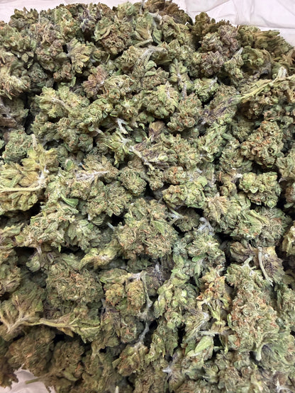 1 Pound - Zangria THCA Flower (Smalls)