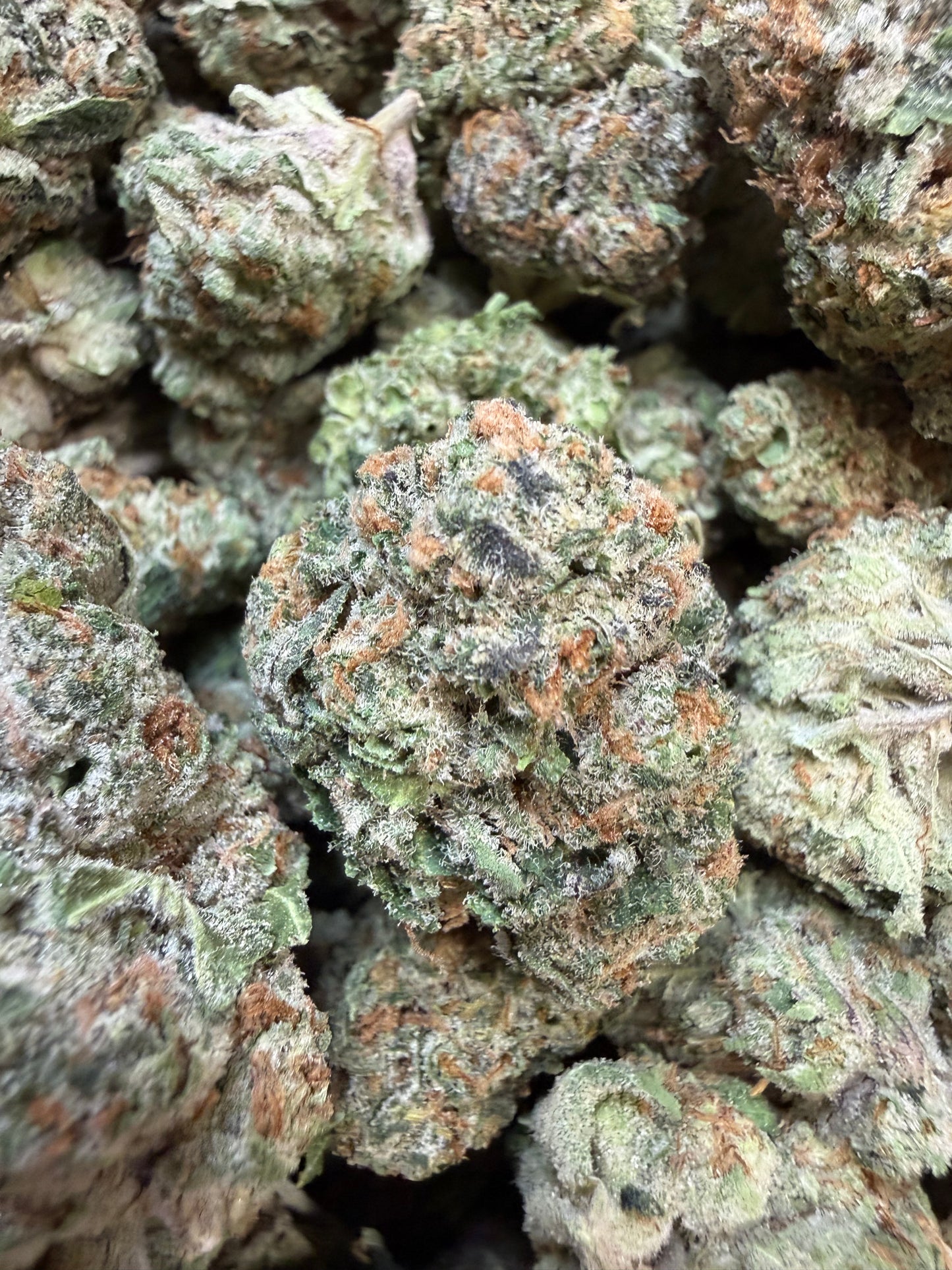 1 Pound - Secret Nectra THCA Flower