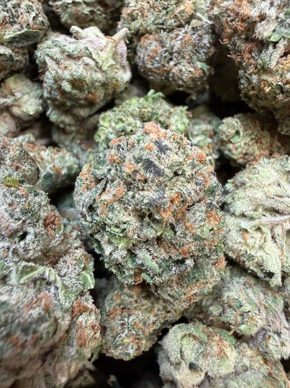 1 Pound - Secret Nectra THCA Flower