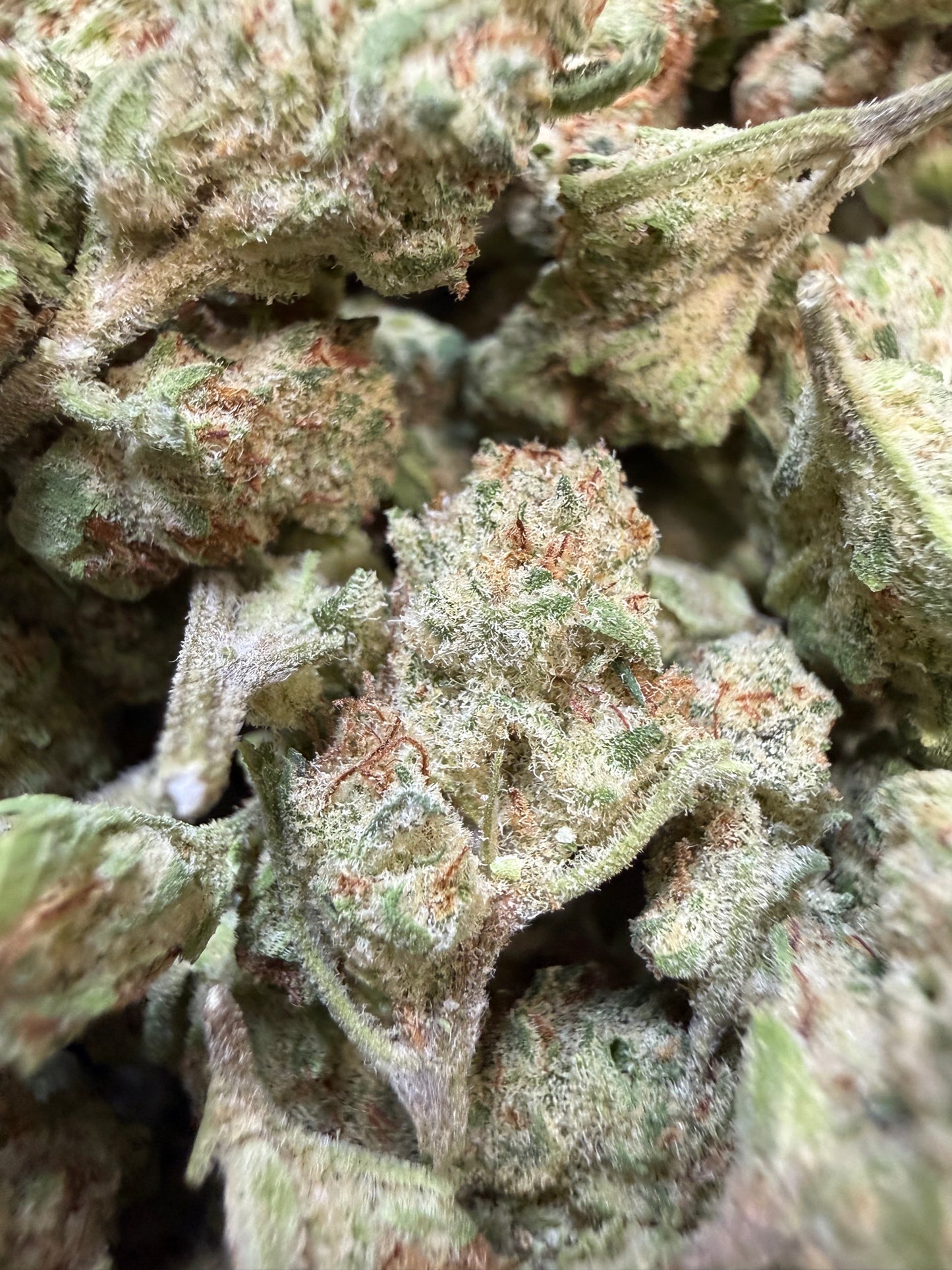 1 Pound - Orange Milano THCA Flower (Smalls)