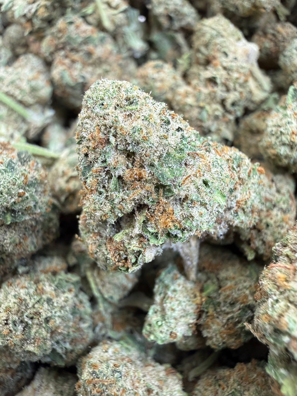 1 Pound - LEMON POPPERZ THCA Flower (SMALL)