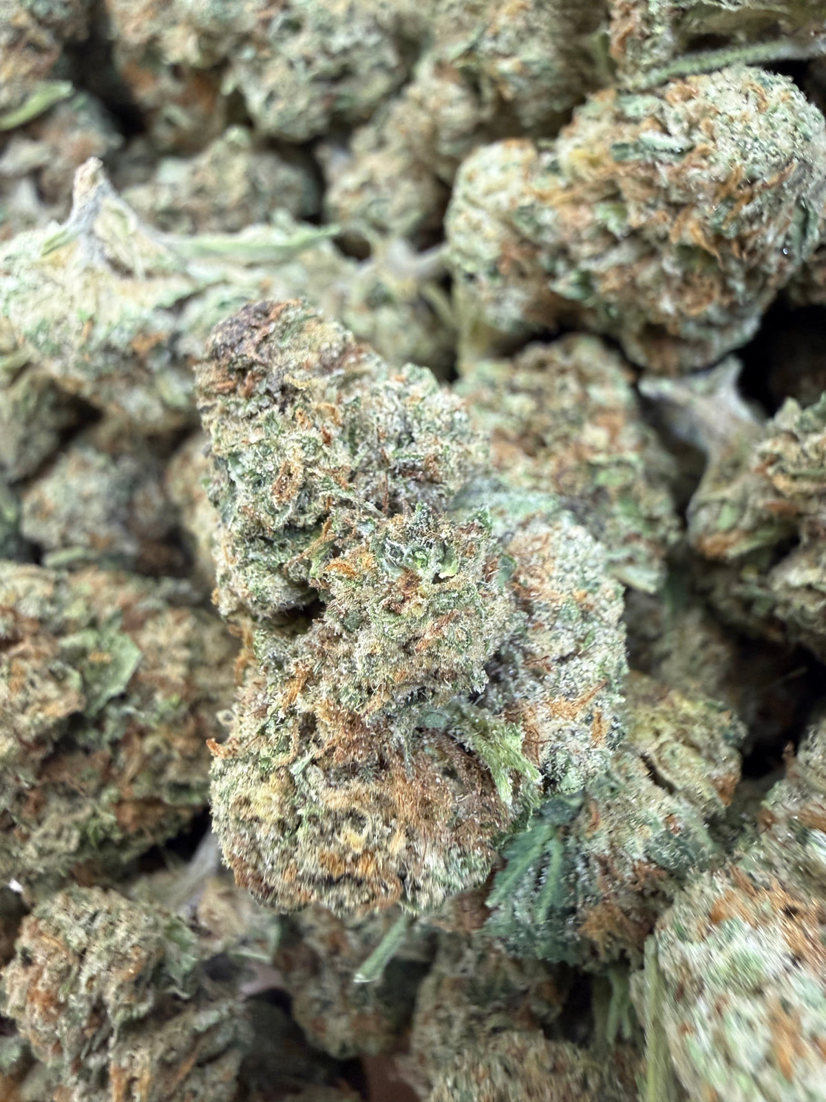 1 Pound - ILLEMONATI OG THCA Flower (BIG)