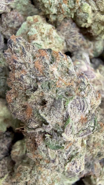 1 Pound - Purple Urkle THCA Flower
