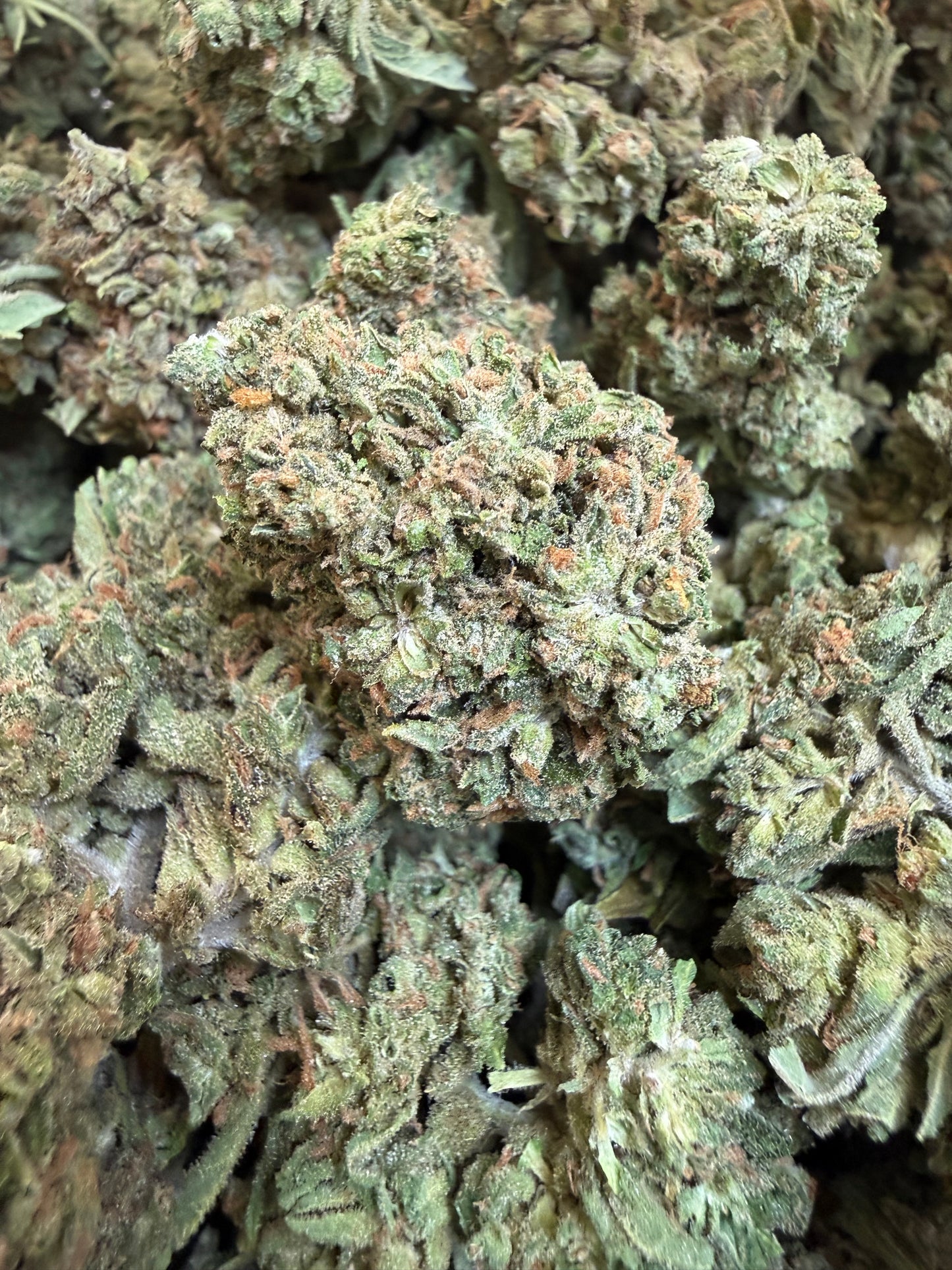 1 Pound - Phantom Gas THCA Flower