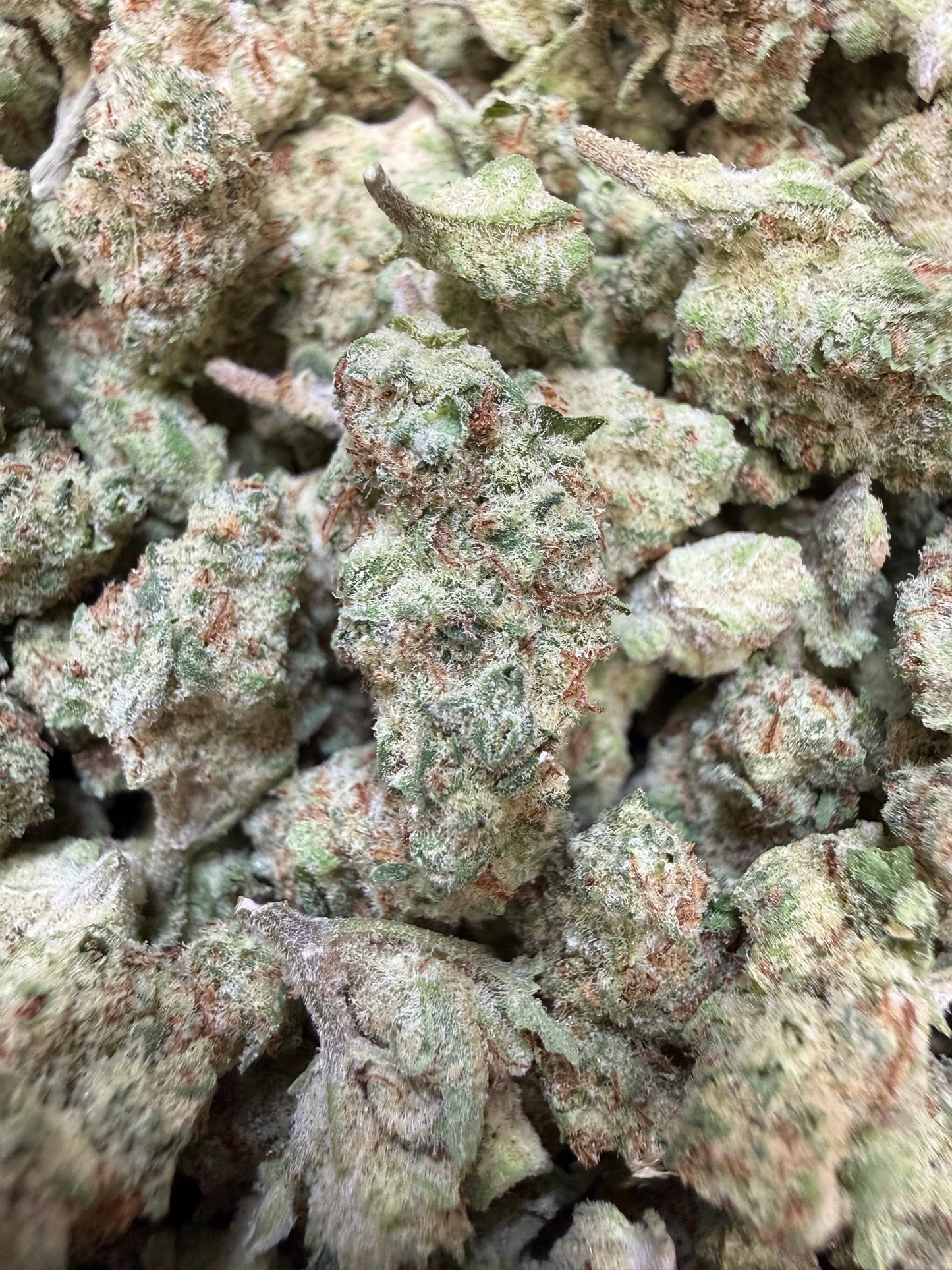 1 Pound - Orange Milano THCA Flower (Smalls)