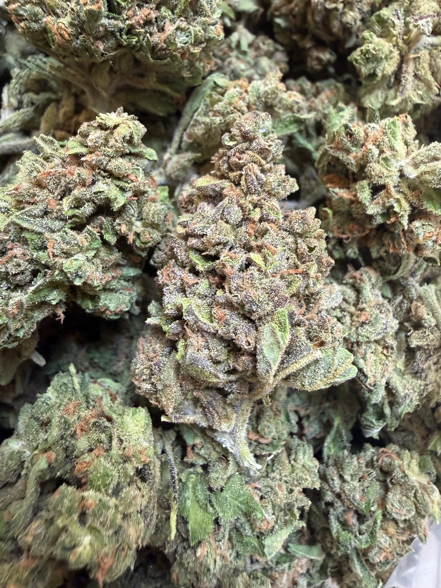 1 Pound - Sweet Baby Jesus THCA Flower