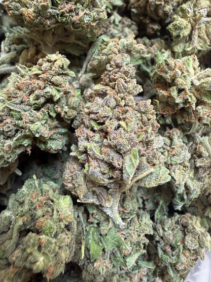1 Pound - Sweet Baby Jesus THCA Flower