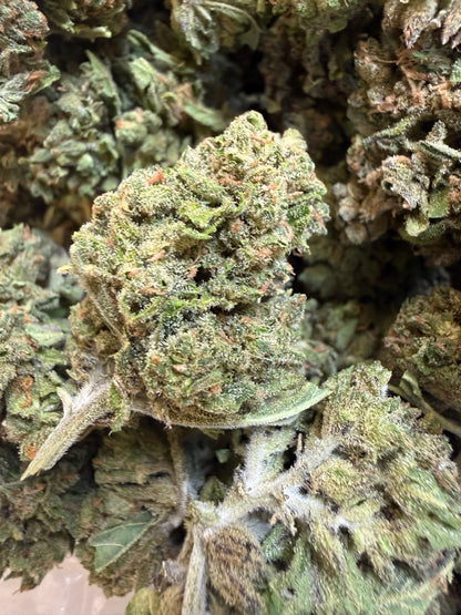 1 Pound - Sweet Baby Jesus THCA Flower