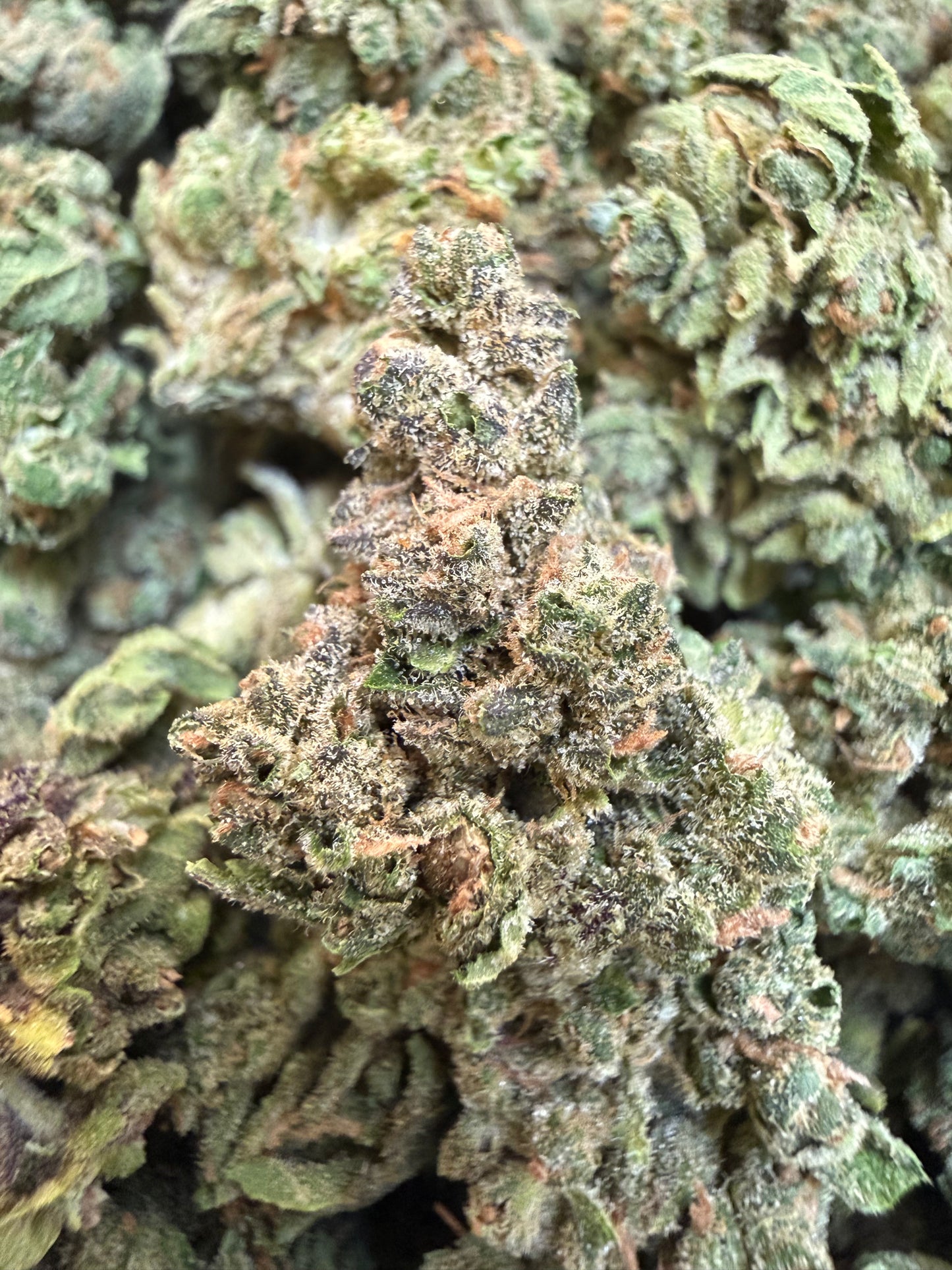 1 Pound - Don Supreme THCA Flower