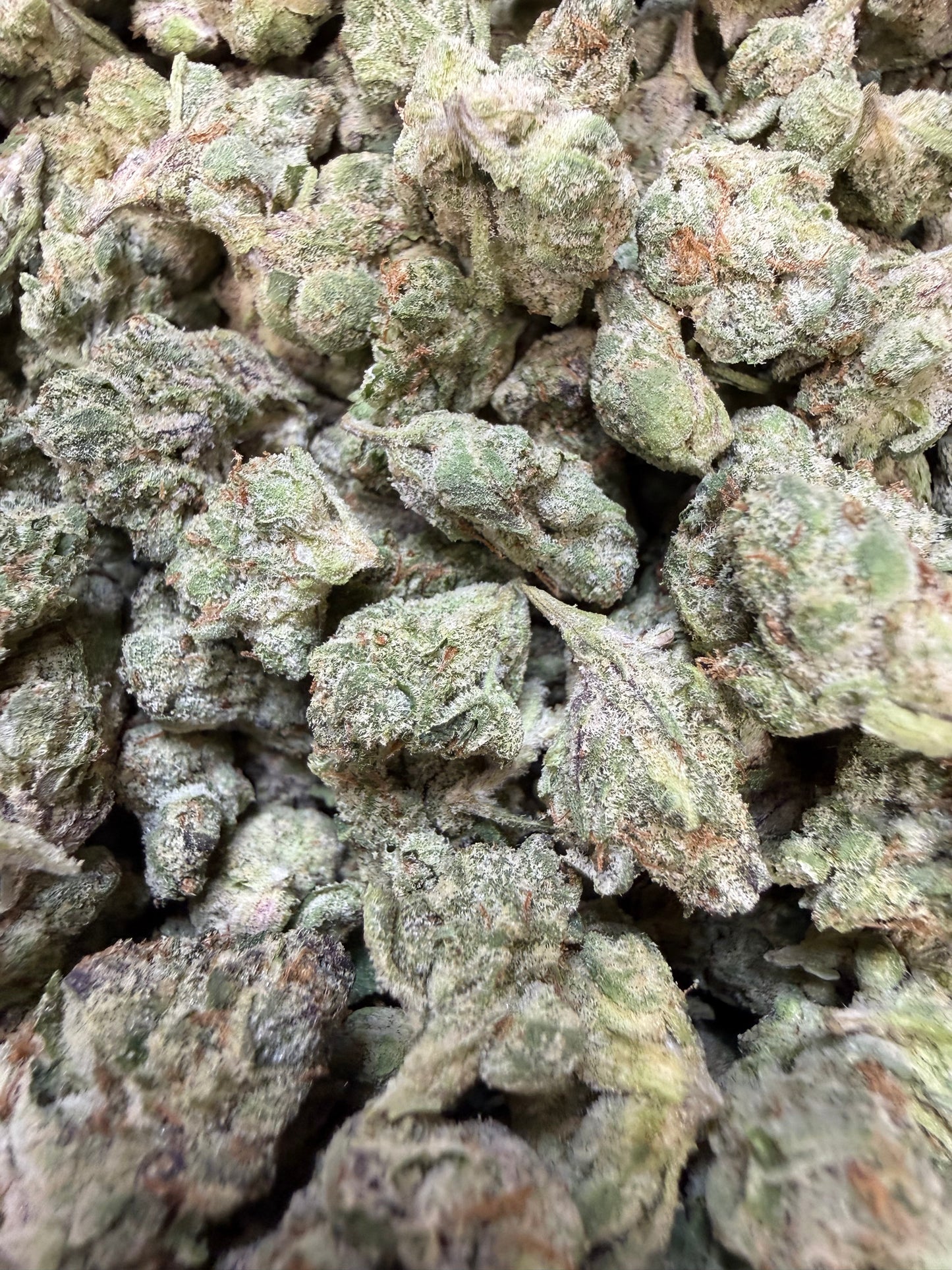 1 Pound - Gelato 33 S1 THCA Flower (Smalls)