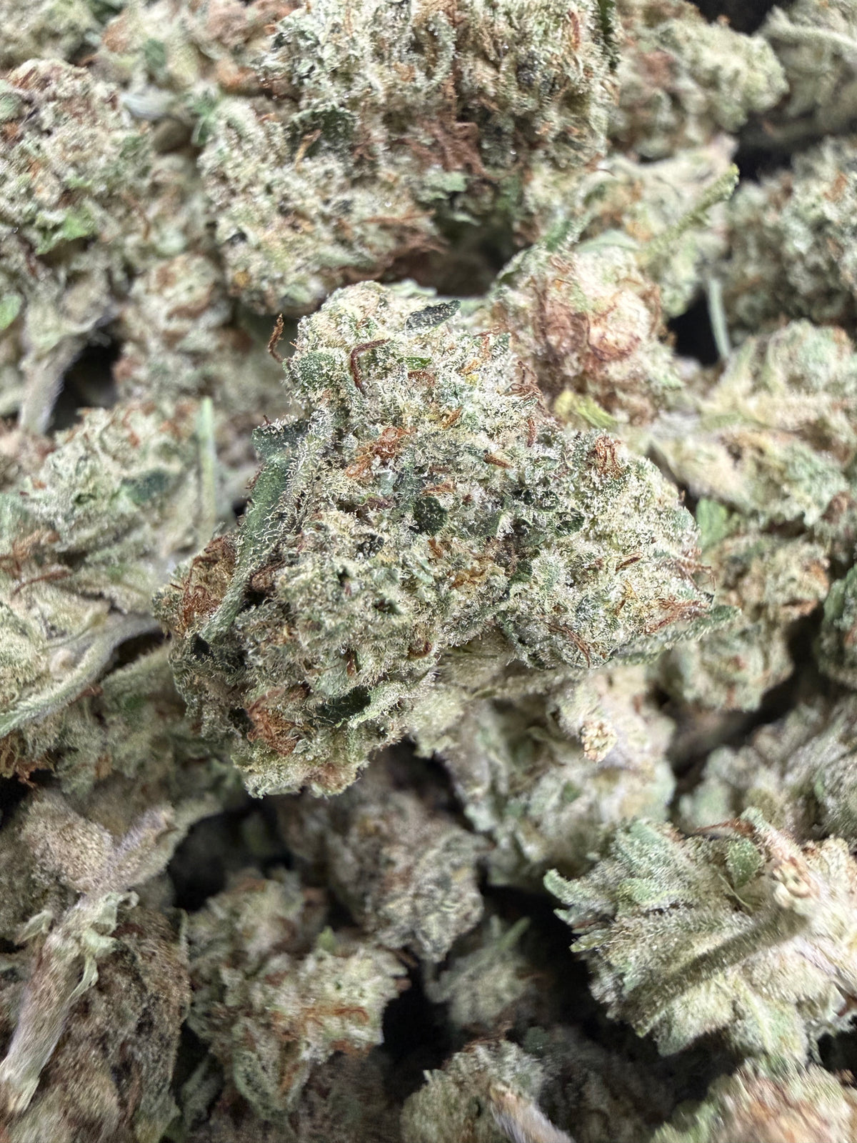 1 Pound - HEAVY METAL OG THCA Flower (SMALL)