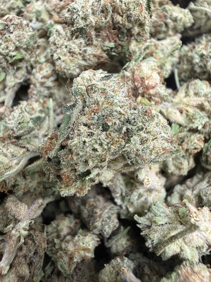 1 Pound - HEAVY METAL OG THCA Flower (SMALL)
