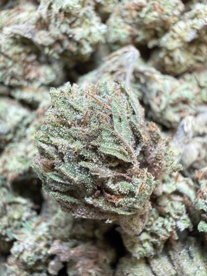 1 Pound - Han Solo THCA Flower (Smalls)