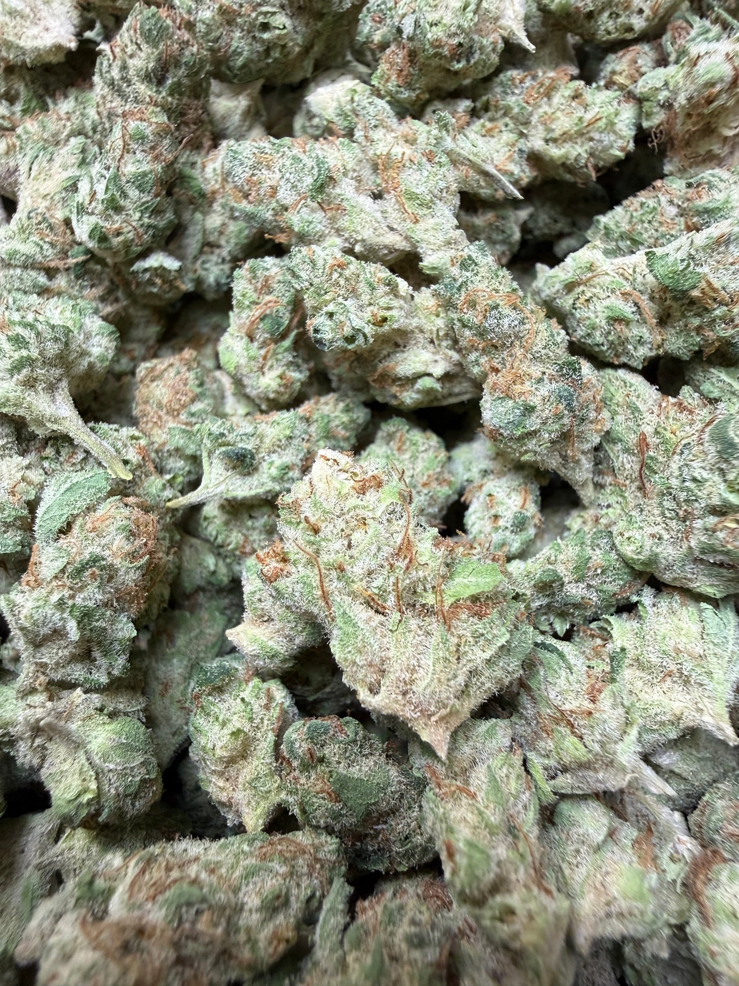 1 Pound - Limonade Punch THCA Flower (Smalls)