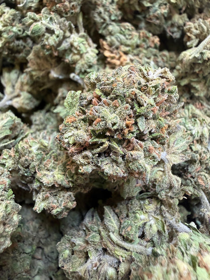 1 Pound - Phantom Gas THCA Flower