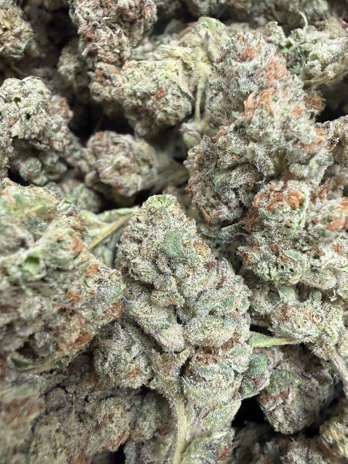1 Pound - SCOTTIE'S CAKE THCA Flower