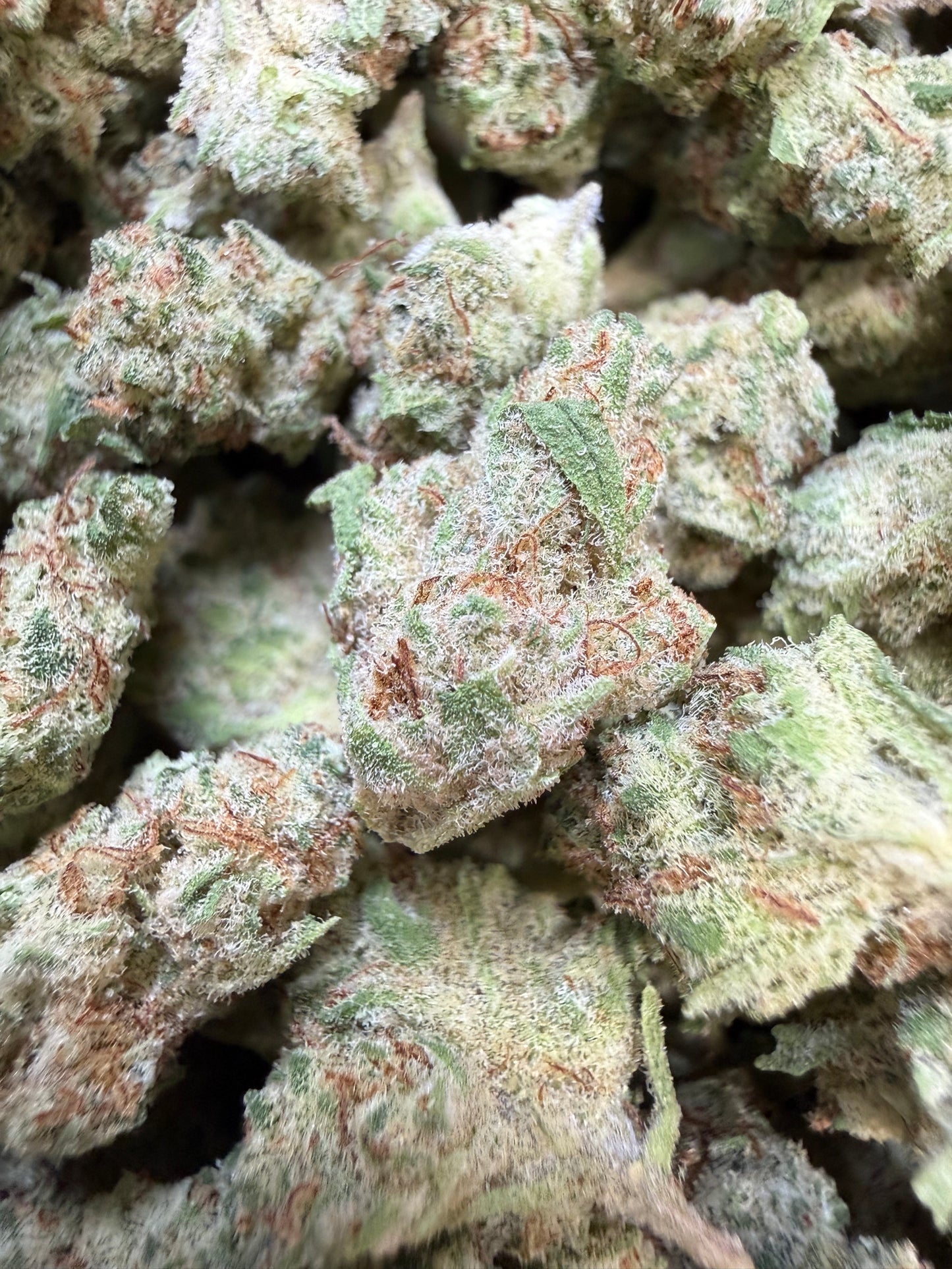 1 Pound - Orange Milano THCA Flower (Smalls)