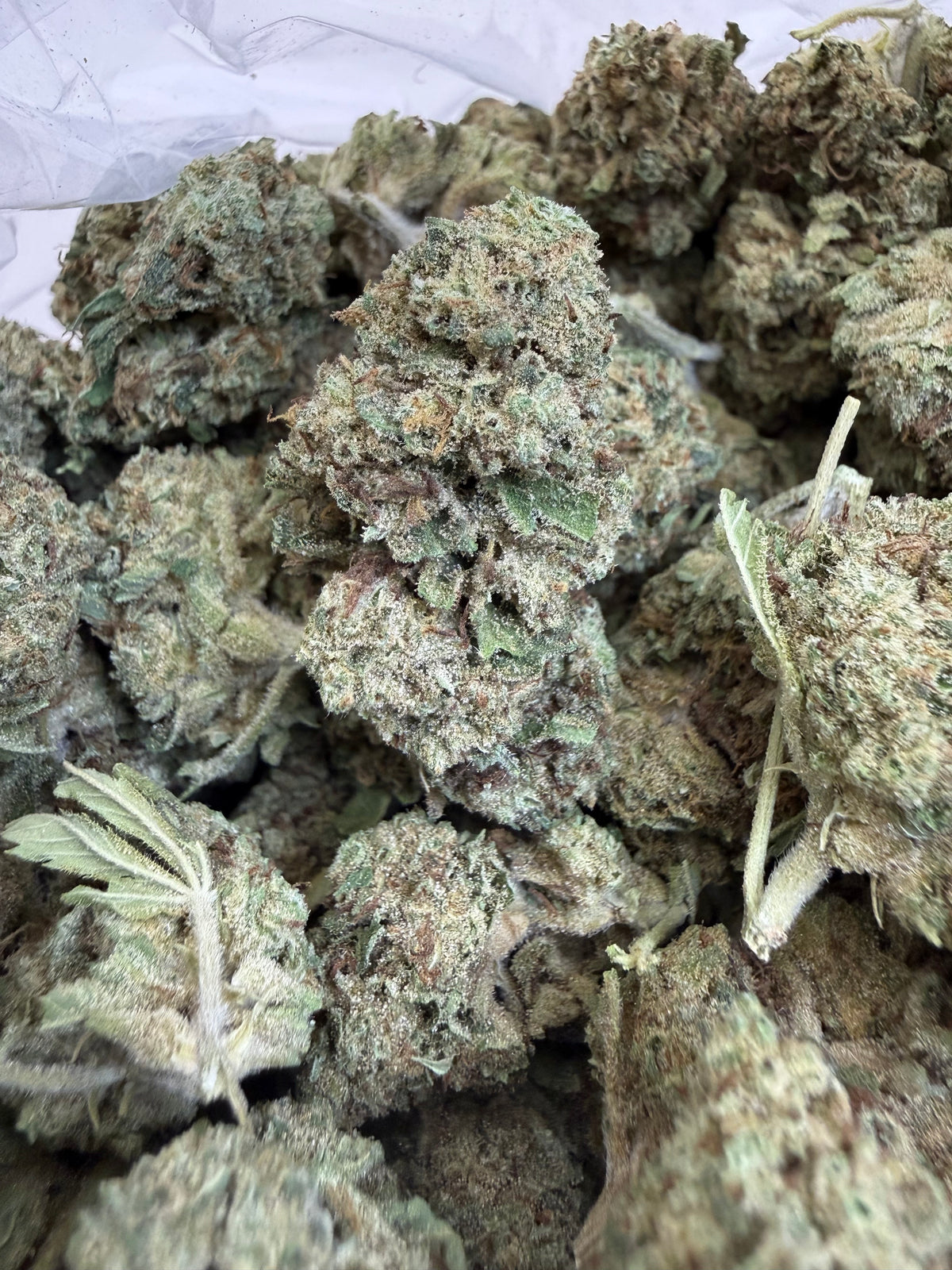1 Pound - BISCOTTI PANCAKES THCA Flower (BIG)