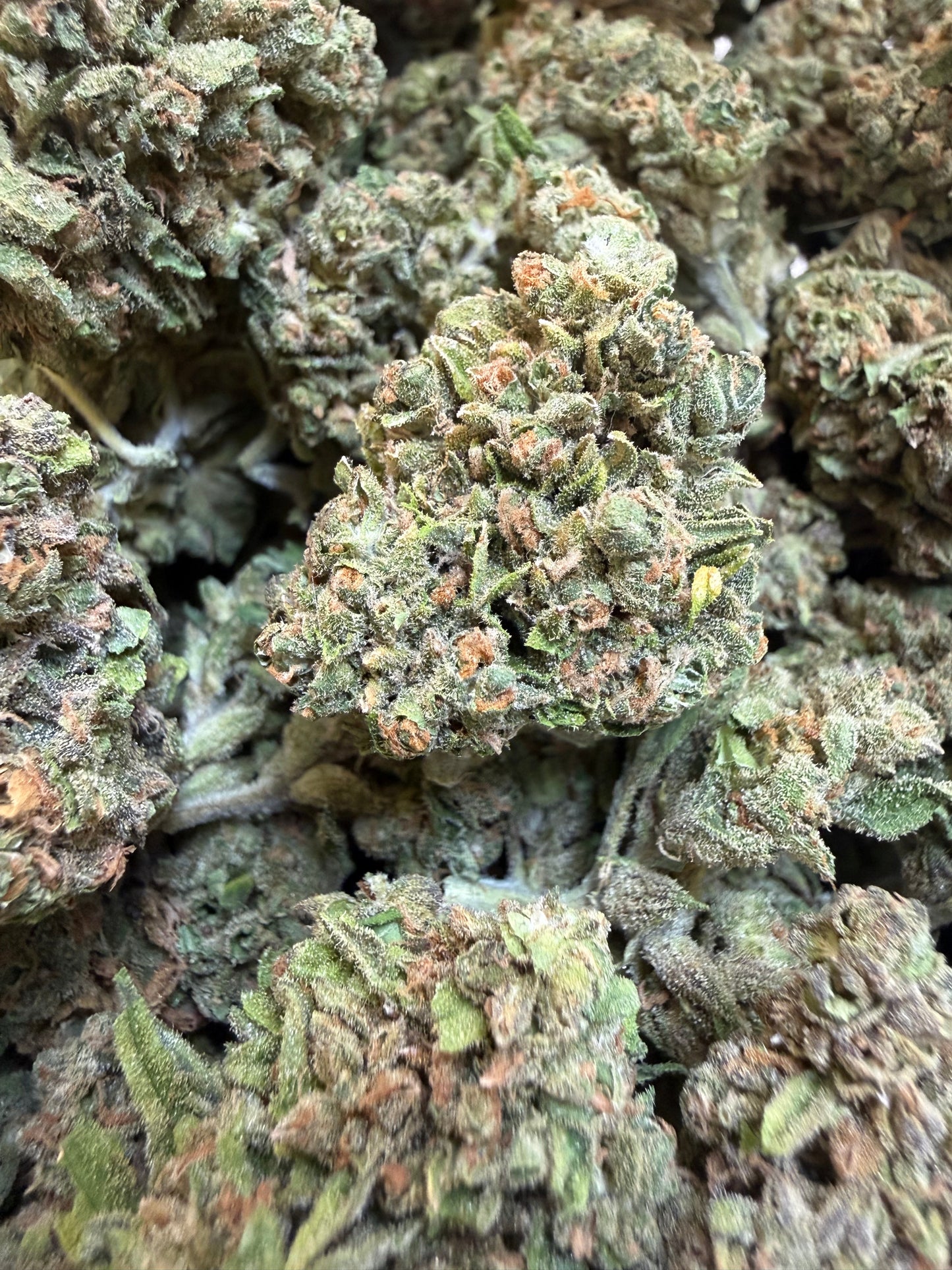 1 Pound - Sweet Baby Jesus THCA Flower