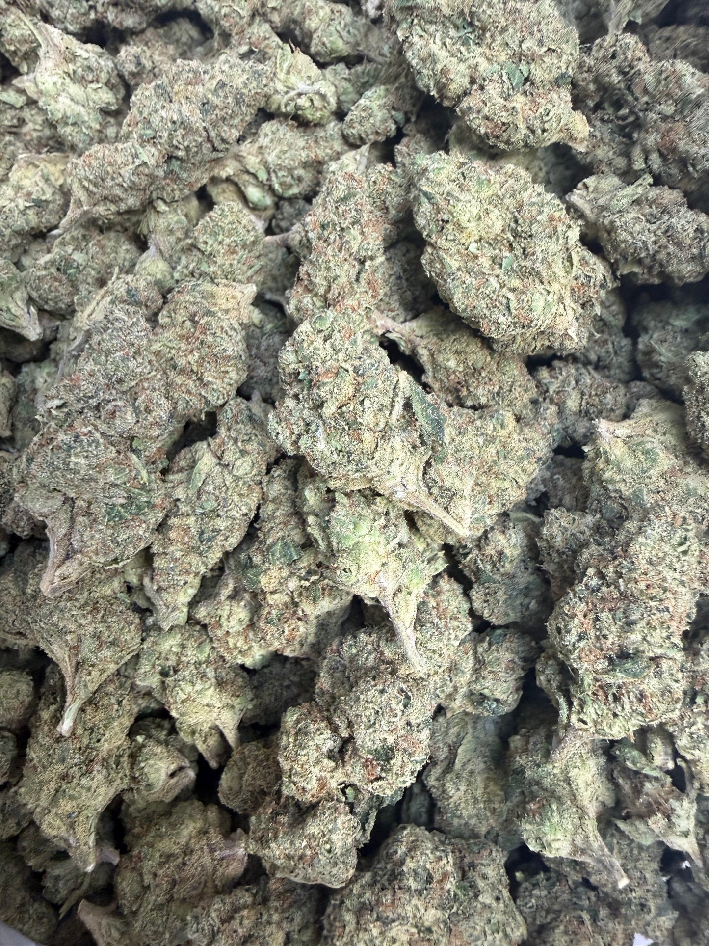 1 Pound - Grandi Candies THCA Flower