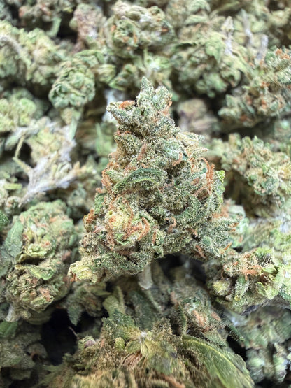 1 Pound - Zangria THCA Flower (Smalls)