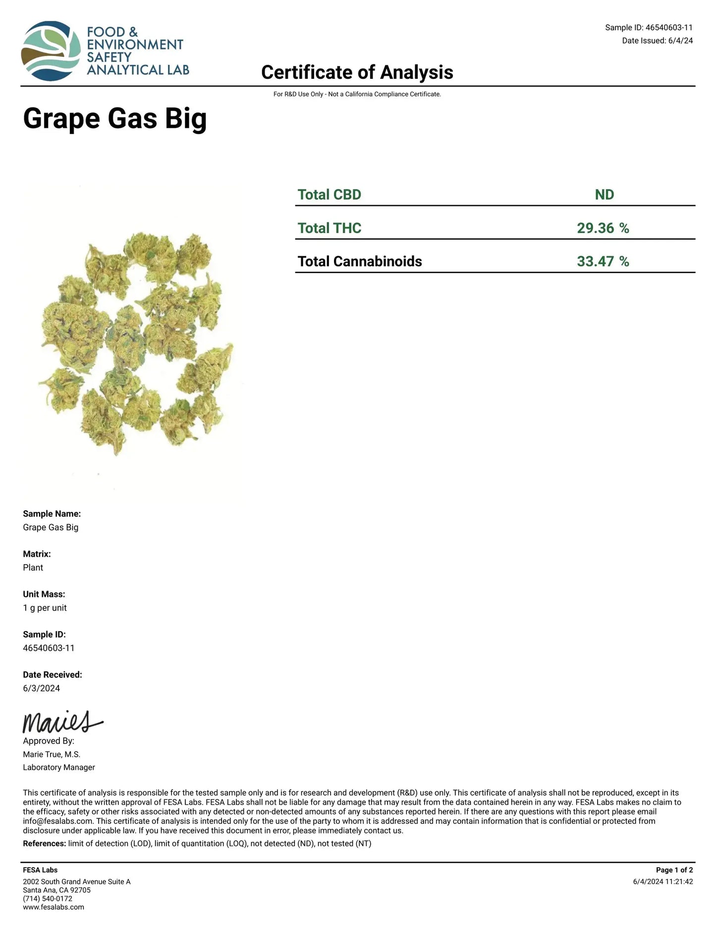 AAA Indoor Exotic - Grape Gas THCA Strain 