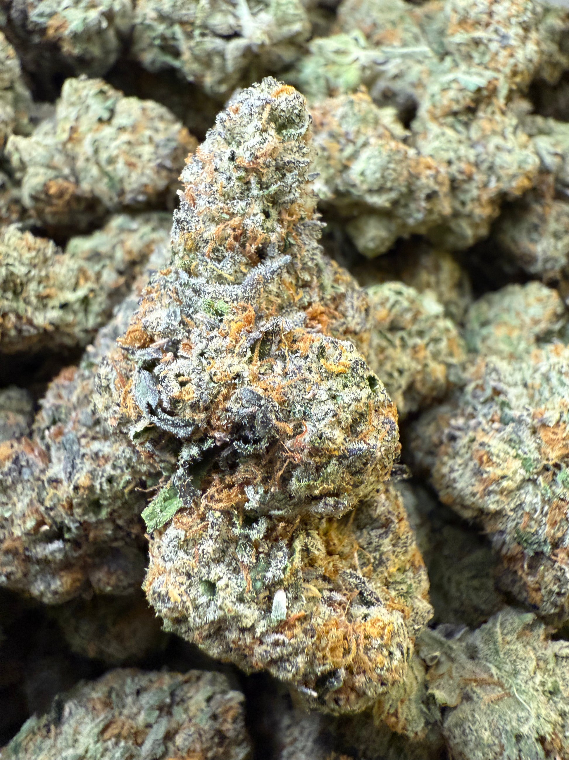 AAA Indoor Exotic - Lemon Cherry Gelato X BX1 THCA Strain Frisco Labs