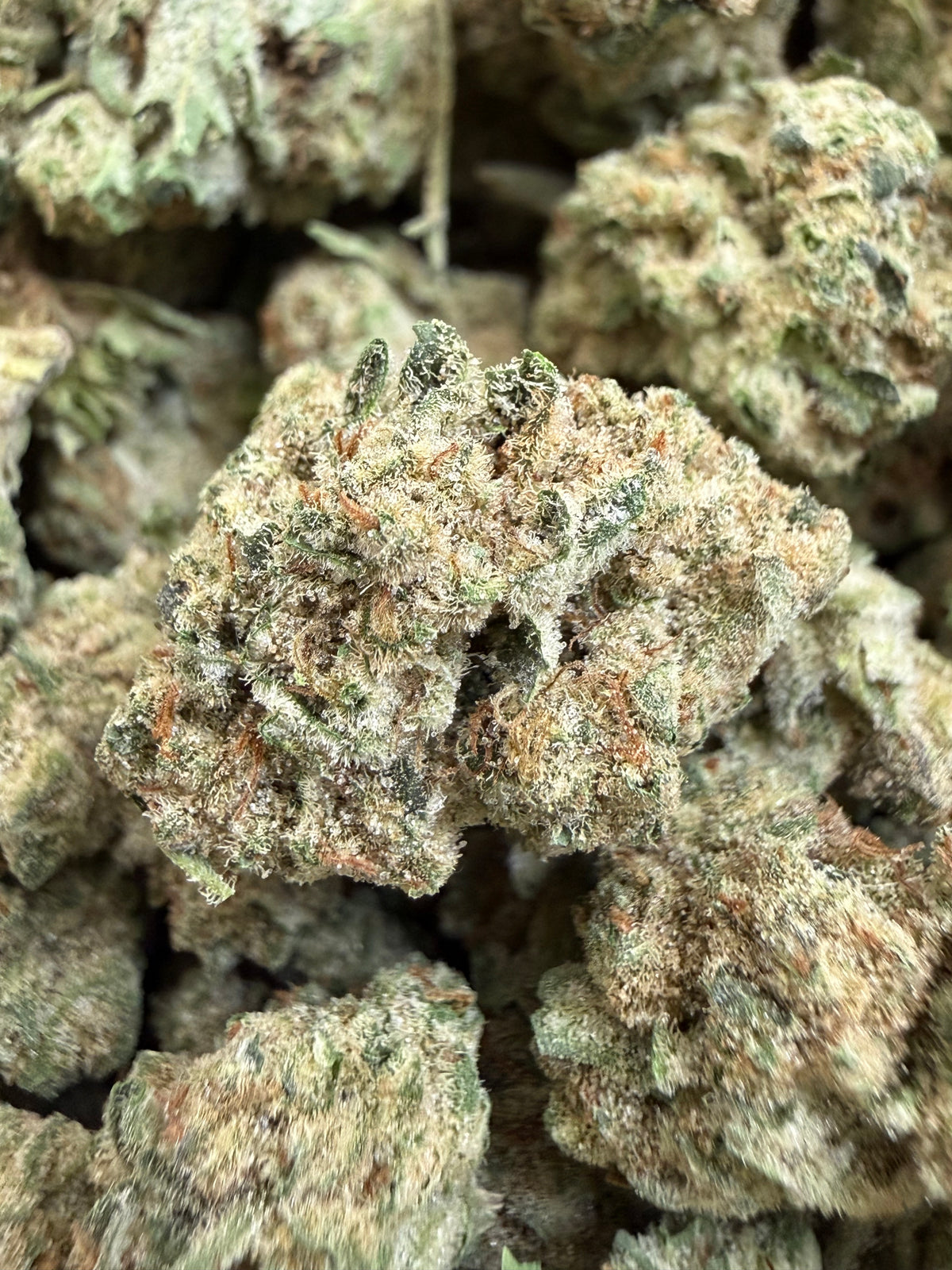 1 Pound - DOSI THCA Flower (SMALL)