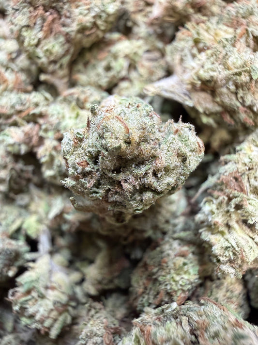 1 Pound - Han Solo THCA Flower (Smalls)