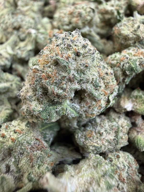 1 Pound - TERPEE SLURPEE THCA Flower (SMALL)