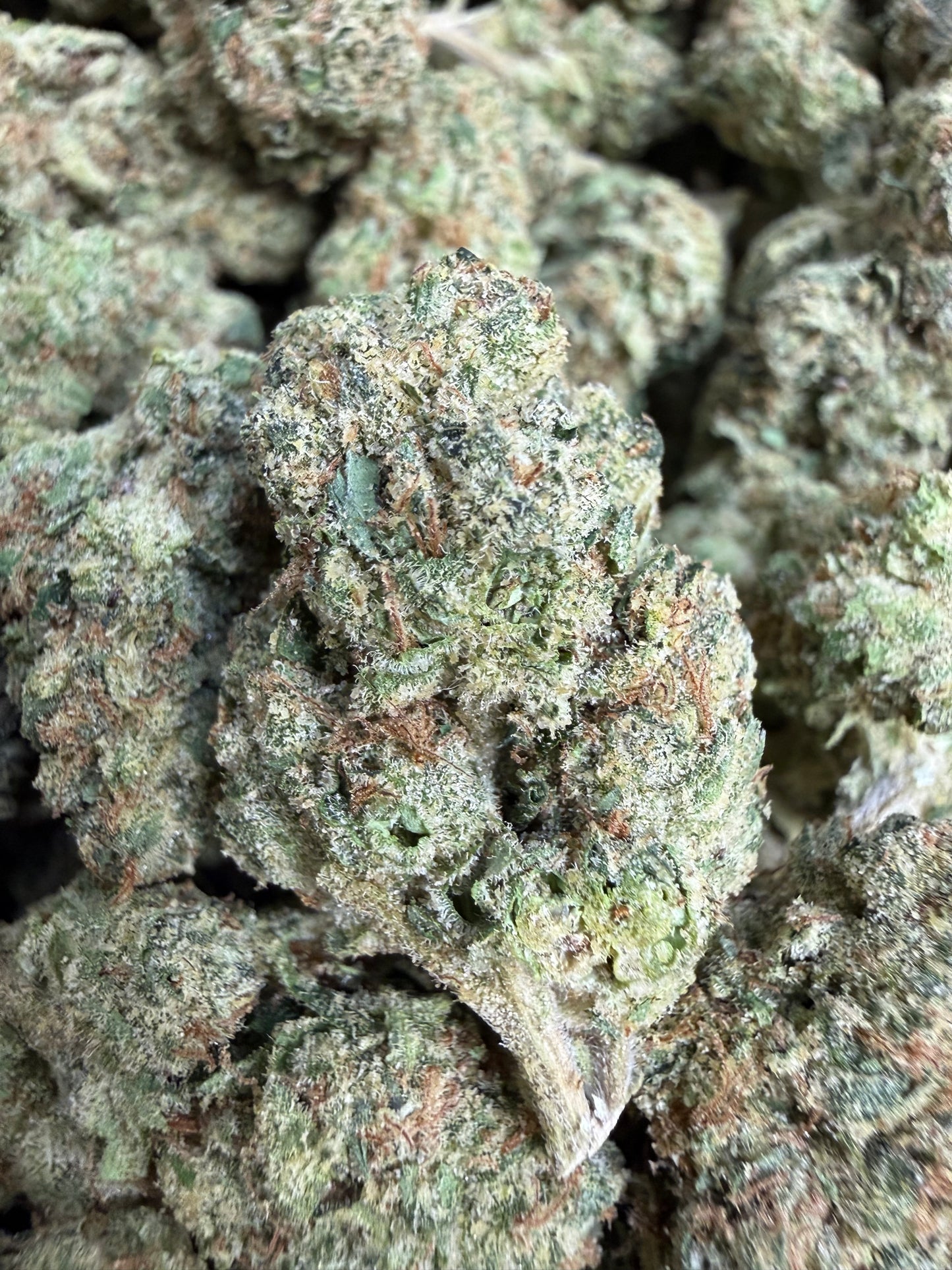 1 Pound - Kandy Fumes THCA Flower