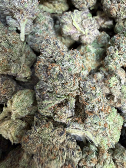 1 Pound - Purple Urkle THCA Flower