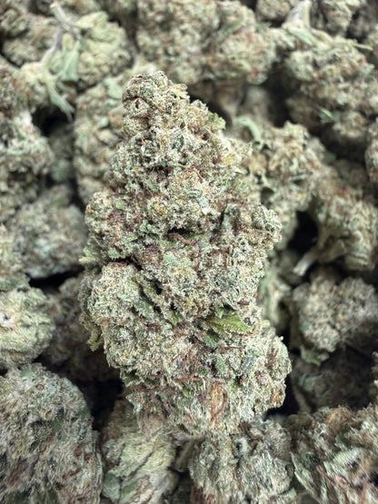 1 Pound - KARMA OG THCA Flower