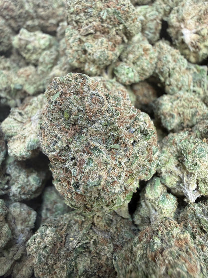 1 Pound - Sharkalato Runtz THCA Flower