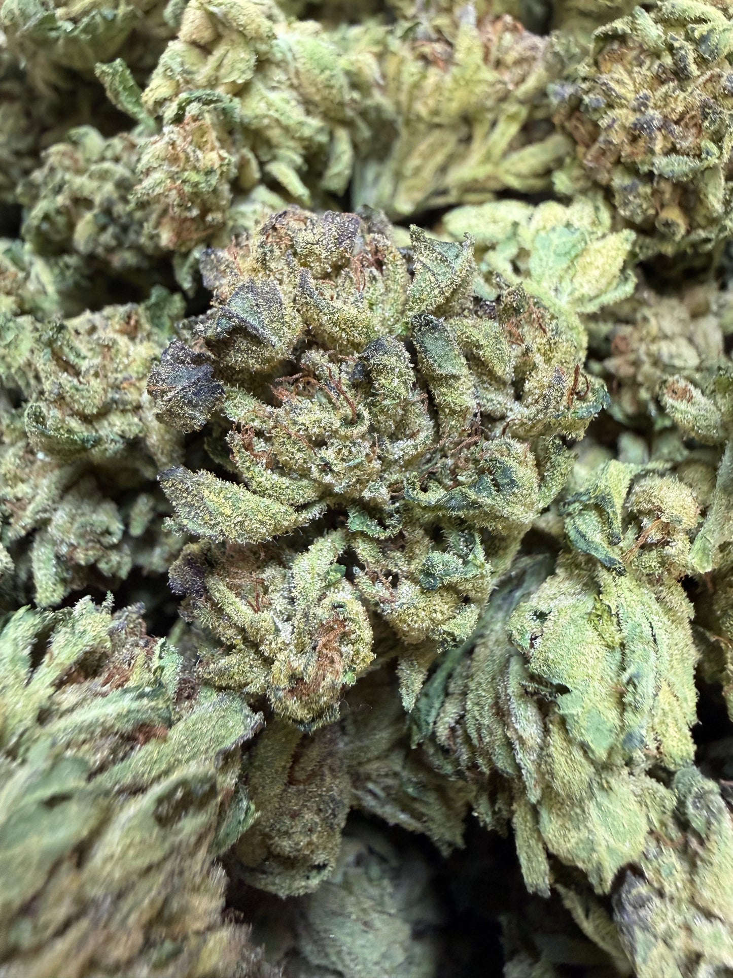 1 Pound - Sweet N' Sour OG THCA Flower