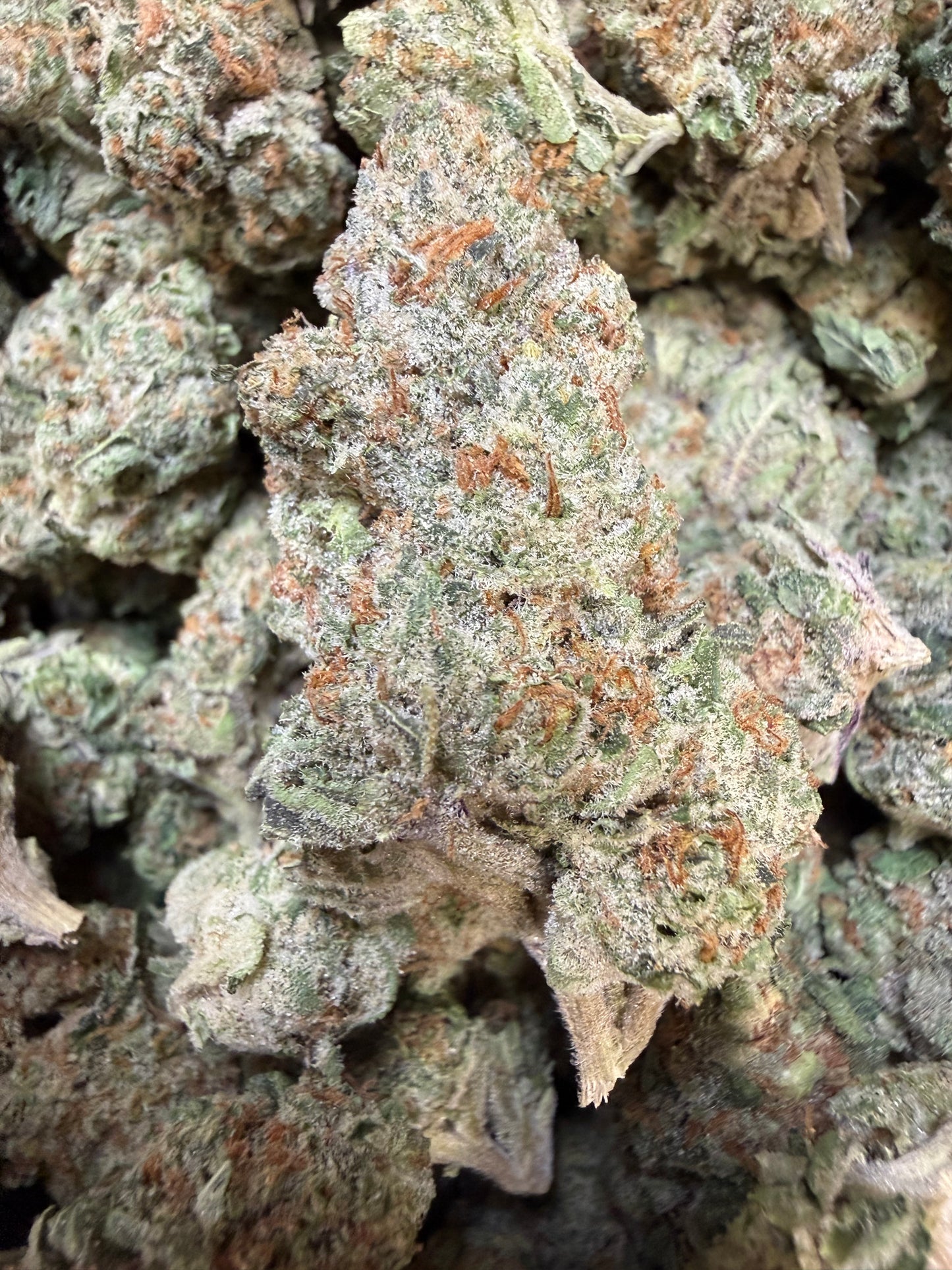 1 Pound - Secret Nectra THCA Flower