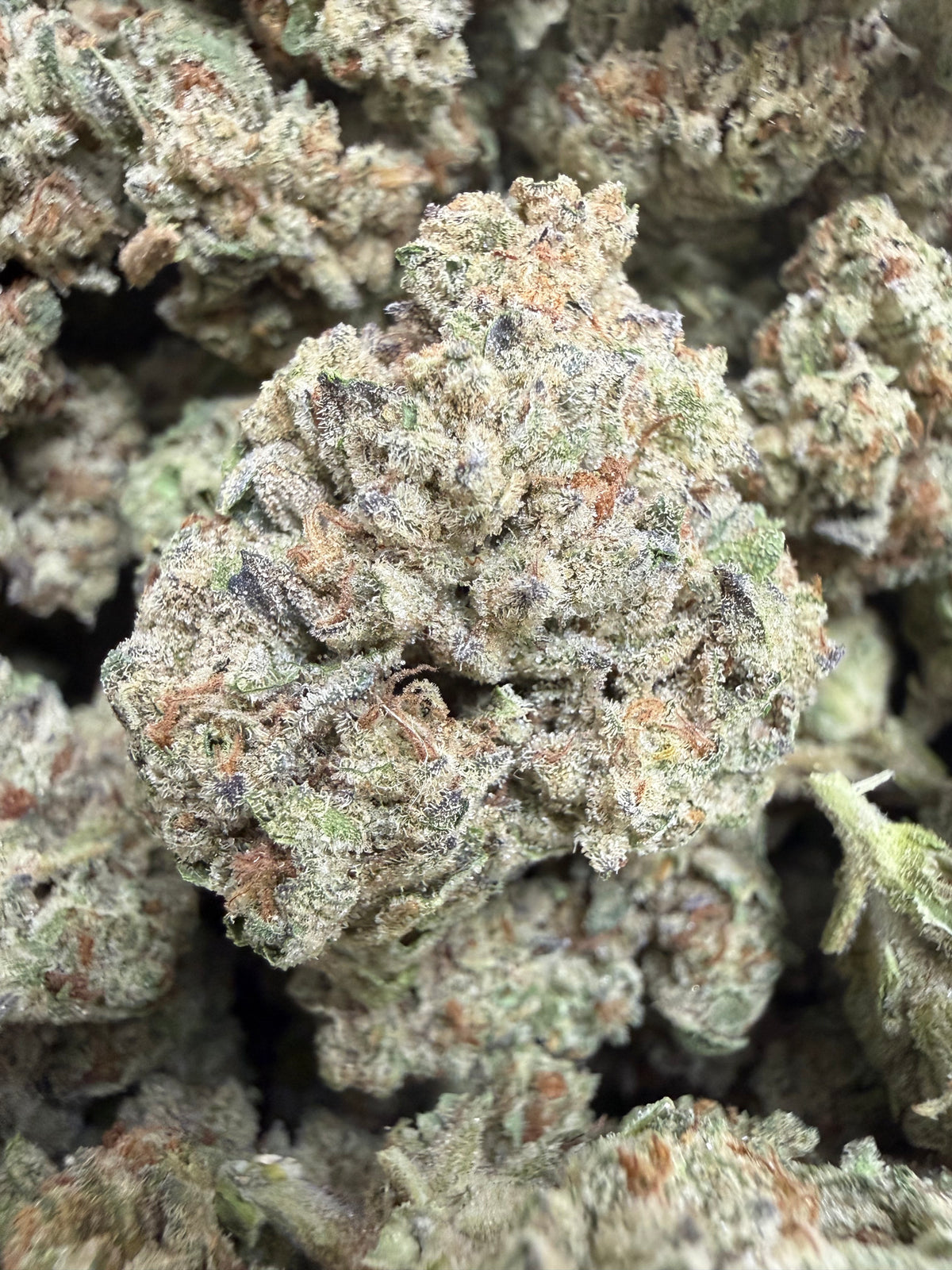 1 Pound - SCOTTIE'S CAKE THCA Flower