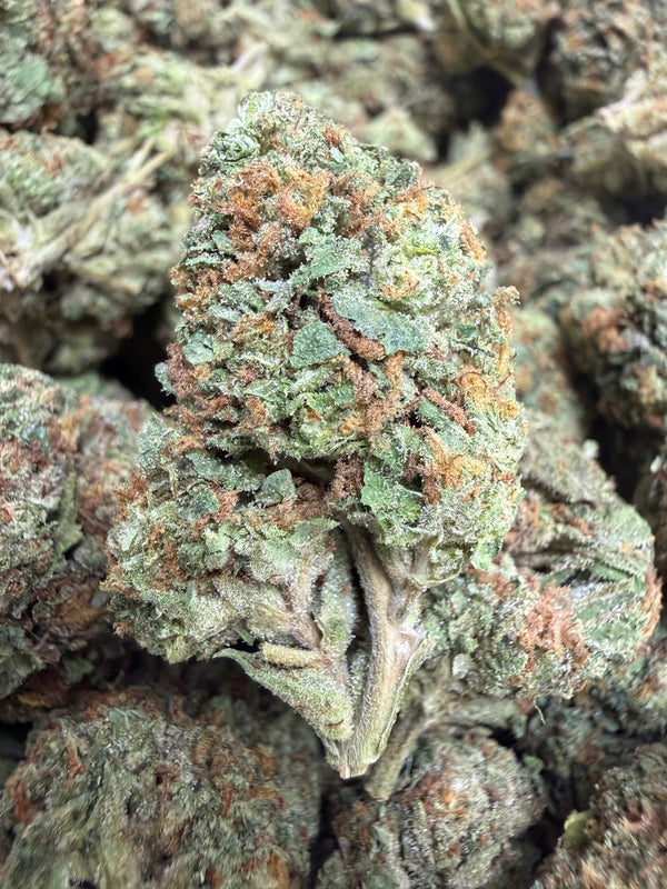 1 Pound - PINK STARFRUIT THCA Flower