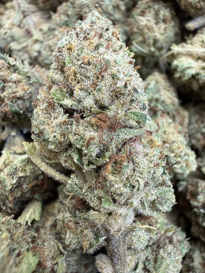 1 Pound - BISCOTTI PANCAKES THCA Flower (BIG)